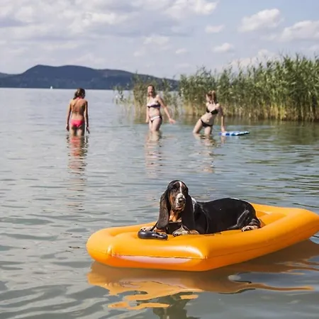 In Fonyod/balaton 39889 Holiday home